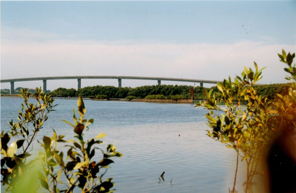 Kooragang Island abandonment site (Nathan Richards Collection)