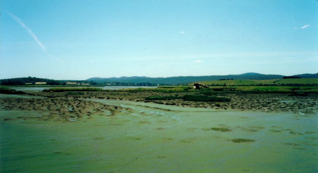 Overview: Tamar Island Ships' Graveyard 14/12/2000 (Collection of Nathan Richards, scanned from APS colour print)