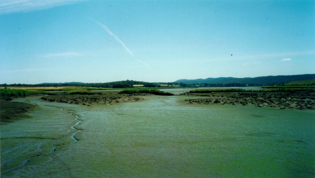 Overview: Tamar Island Ships' Graveyard 14/12/2000 (Collection of Nathan Richards, scanned from APS colour print)