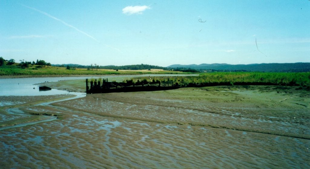 Overview: Tamar Island Ships' Graveyard 14/12/2000 (Collection of Nathan Richards, scanned from APS colour print)