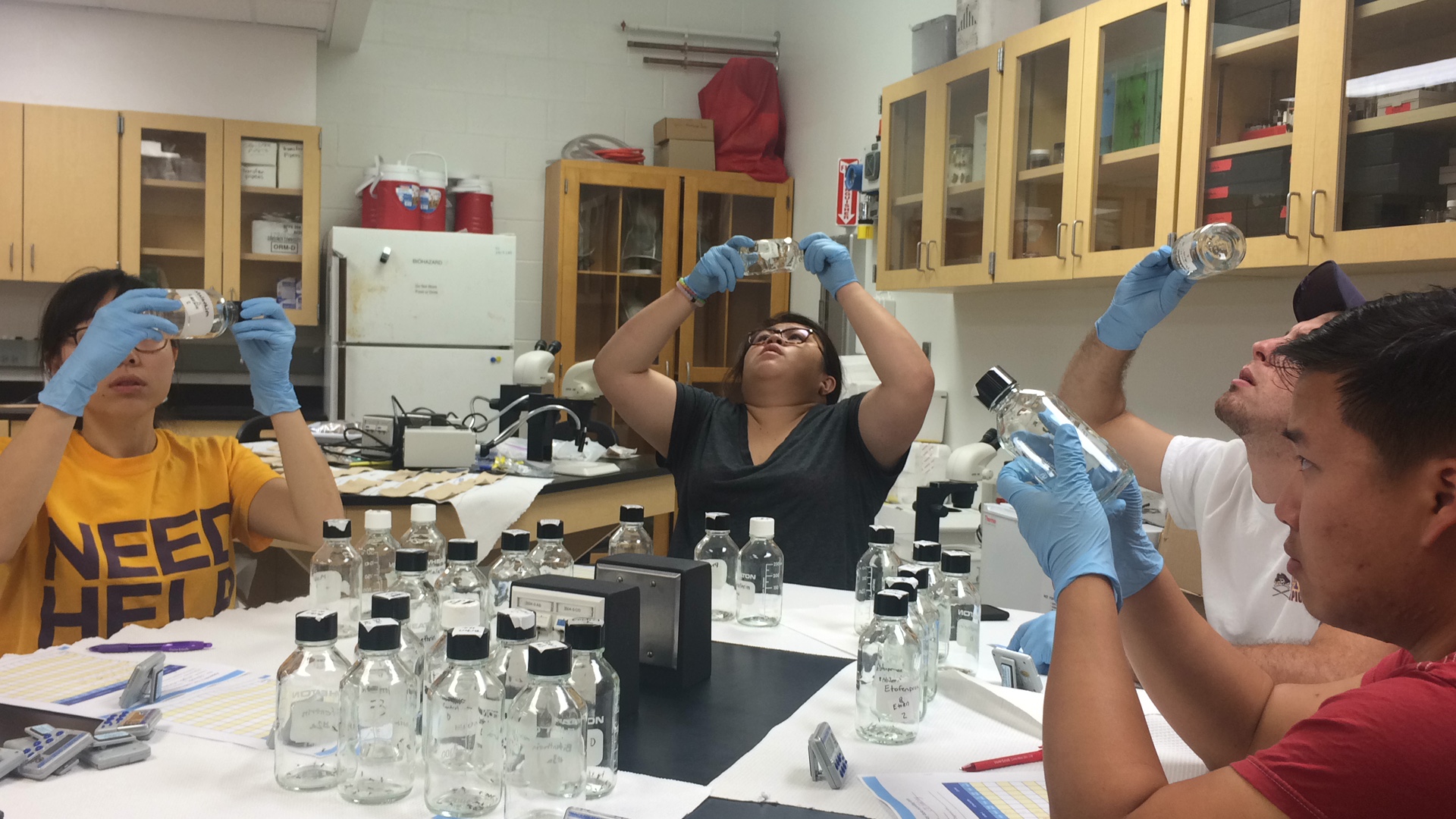 Read more about the article EH students perform CDC bottle bioassay for mosquito lab research this summer