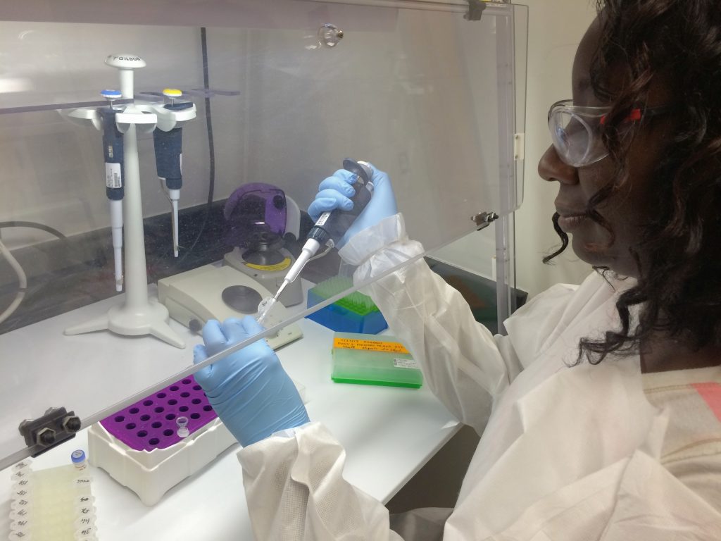 EH lab personnel, Avian White, preparing samples for PCR analysis, June 29, 2016