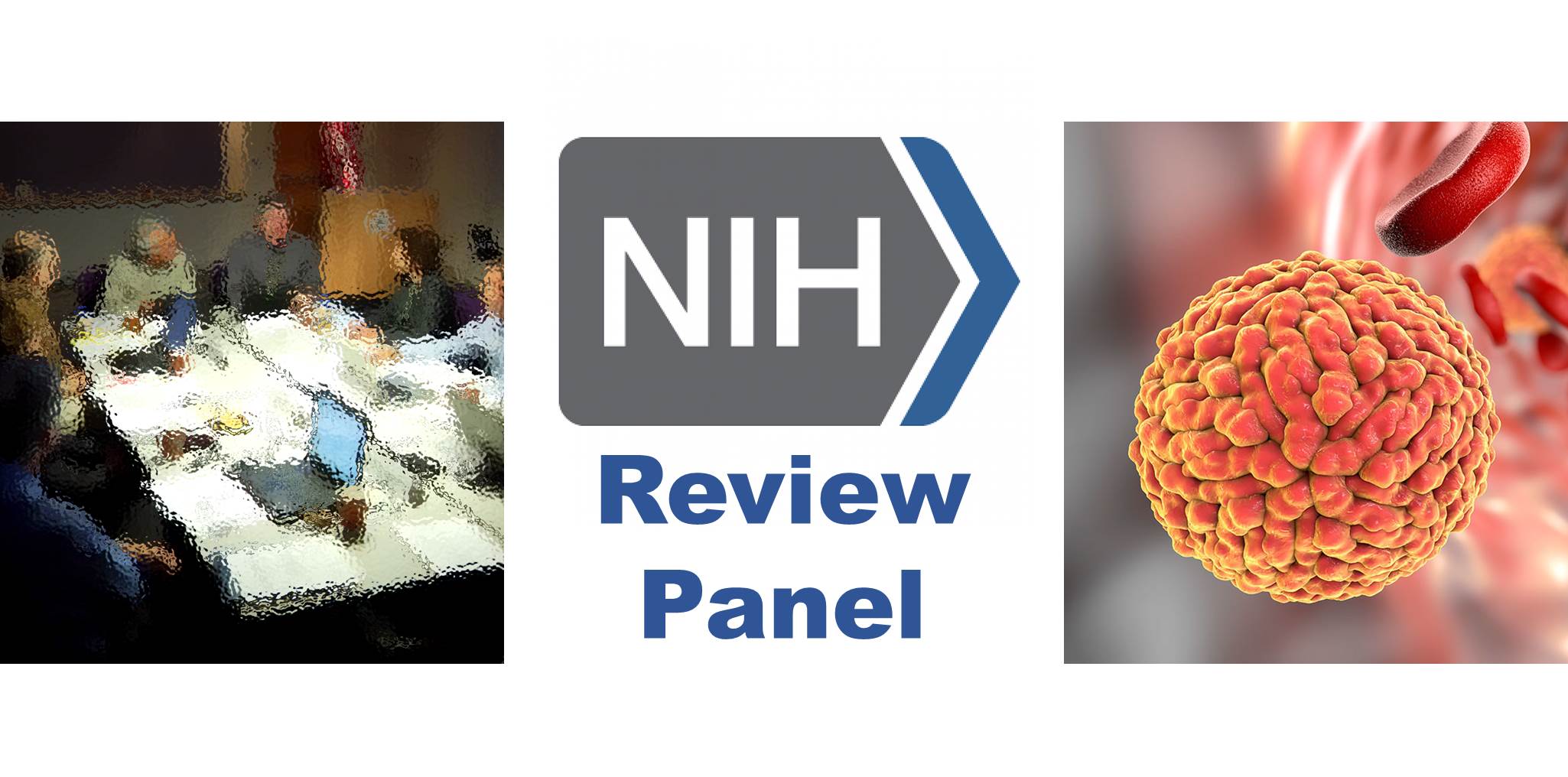 You are currently viewing Dr. Richards Serves on NIH Review Panel on Zika Grant Applications