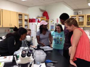 Read more about the article New EH Graduate Students’ Lab Orientation
