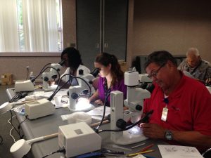 Read more about the article Dr. Richards Organizes a NCMVCA Summer Mosquito Workshop