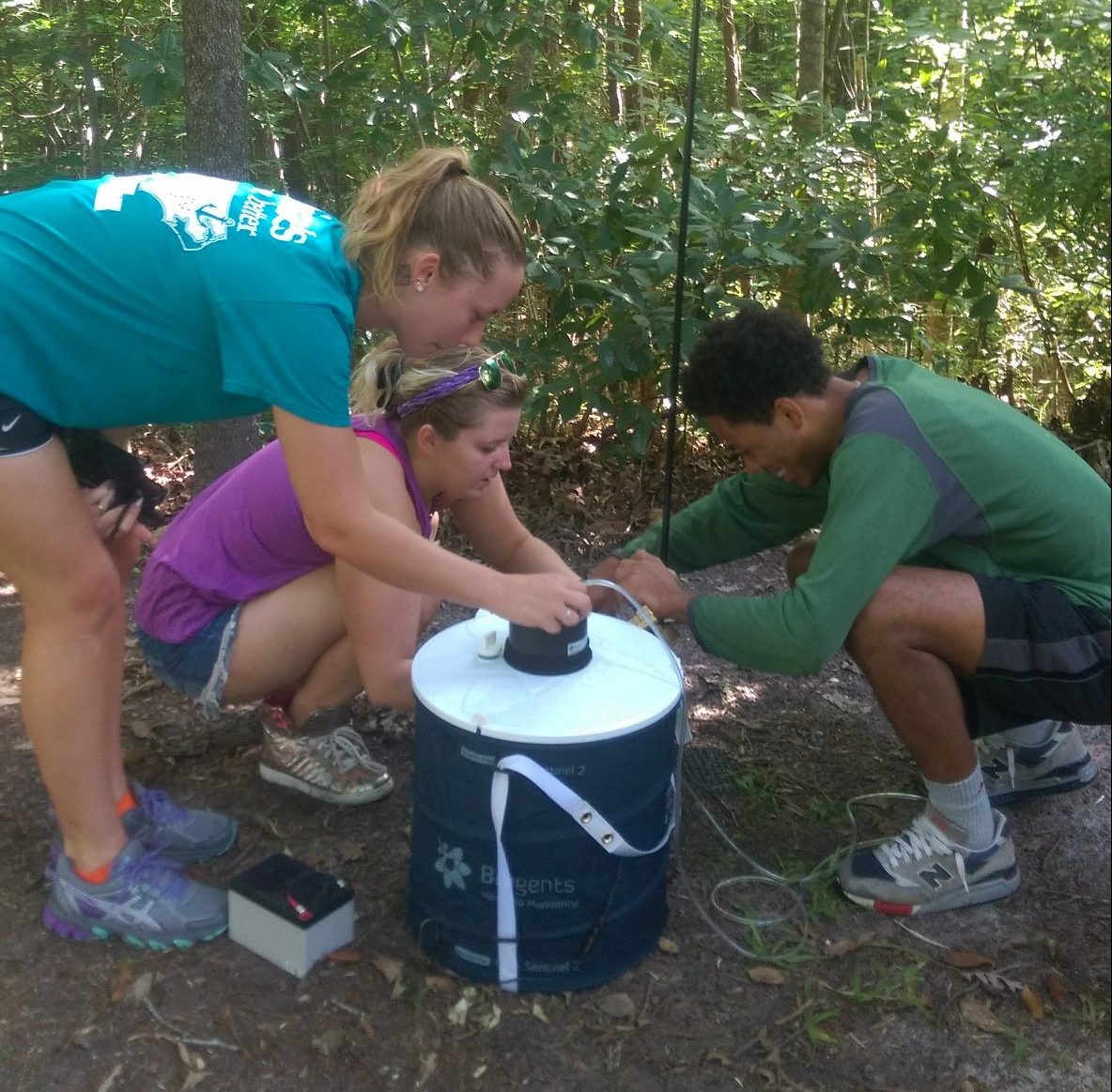 You are currently viewing ECU Students Conducting Mosquito Field Research this Summer