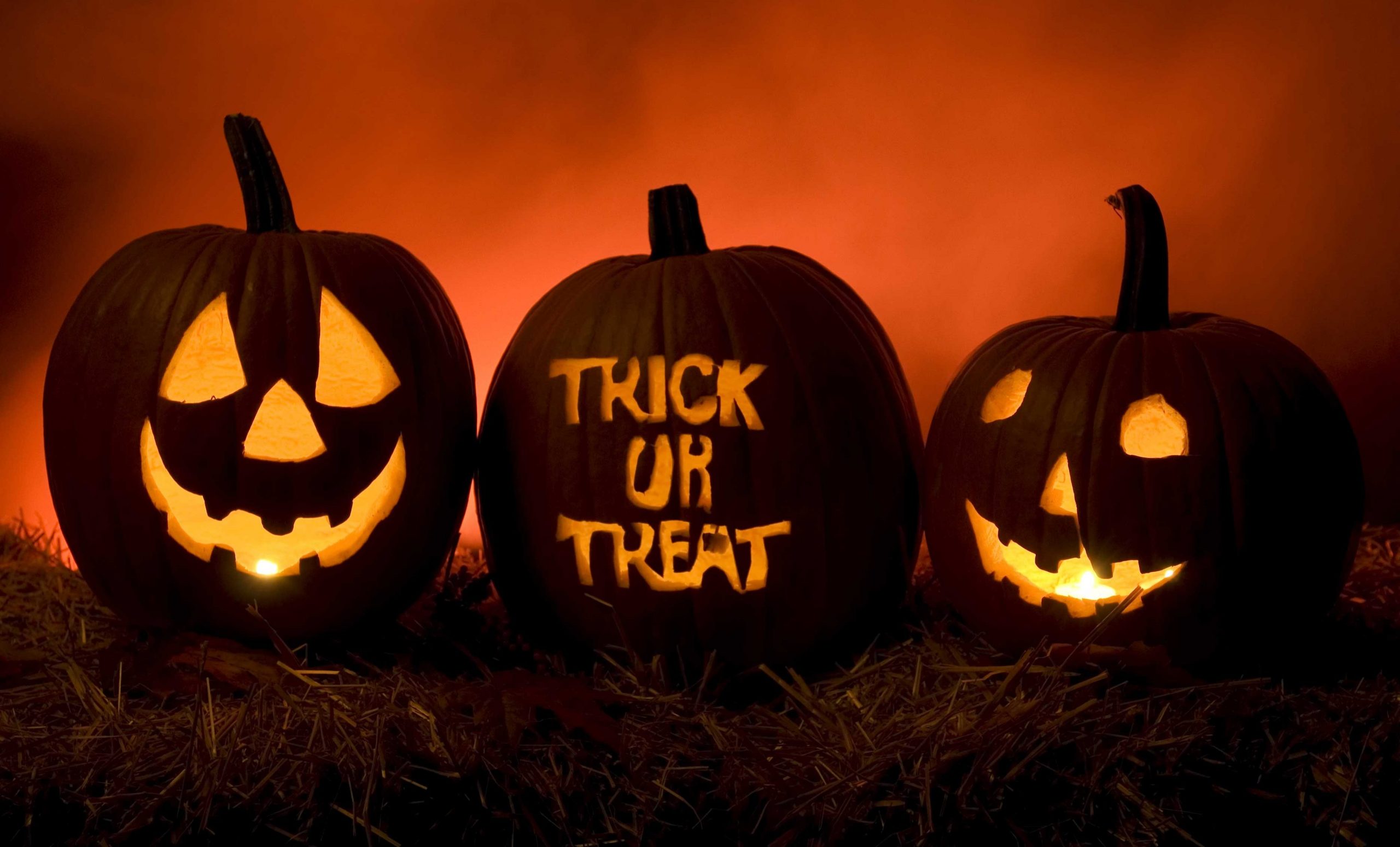 Read more about the article Ask Miss Liza: It’s Halloween… Are You Scared?