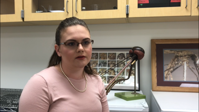 You are currently viewing Heidi Knecht: Featured Student for EH Research