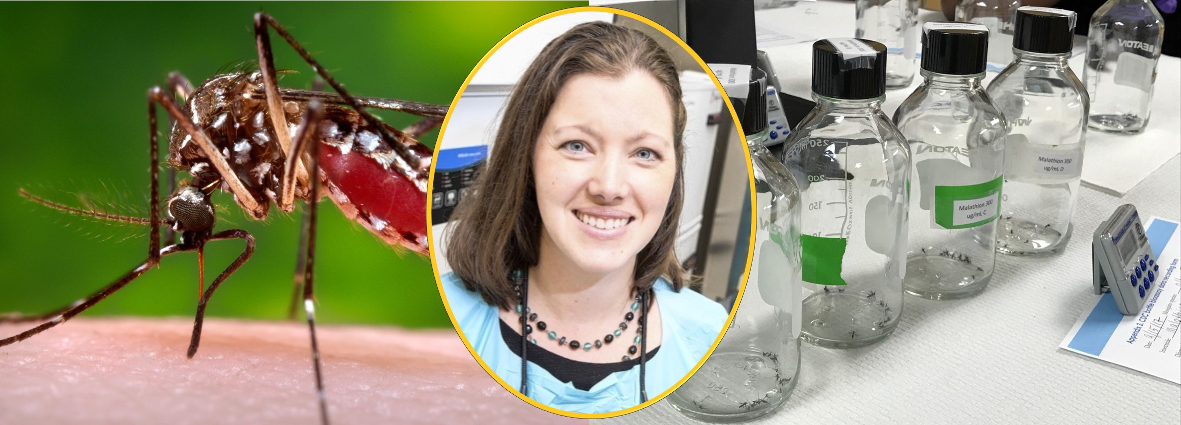 You are currently viewing Dr. Richards Receives CDC Grant to Provide Training on Insecticide Resistance Testing
