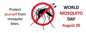 Read more about the article August 20 is World Mosquito Day