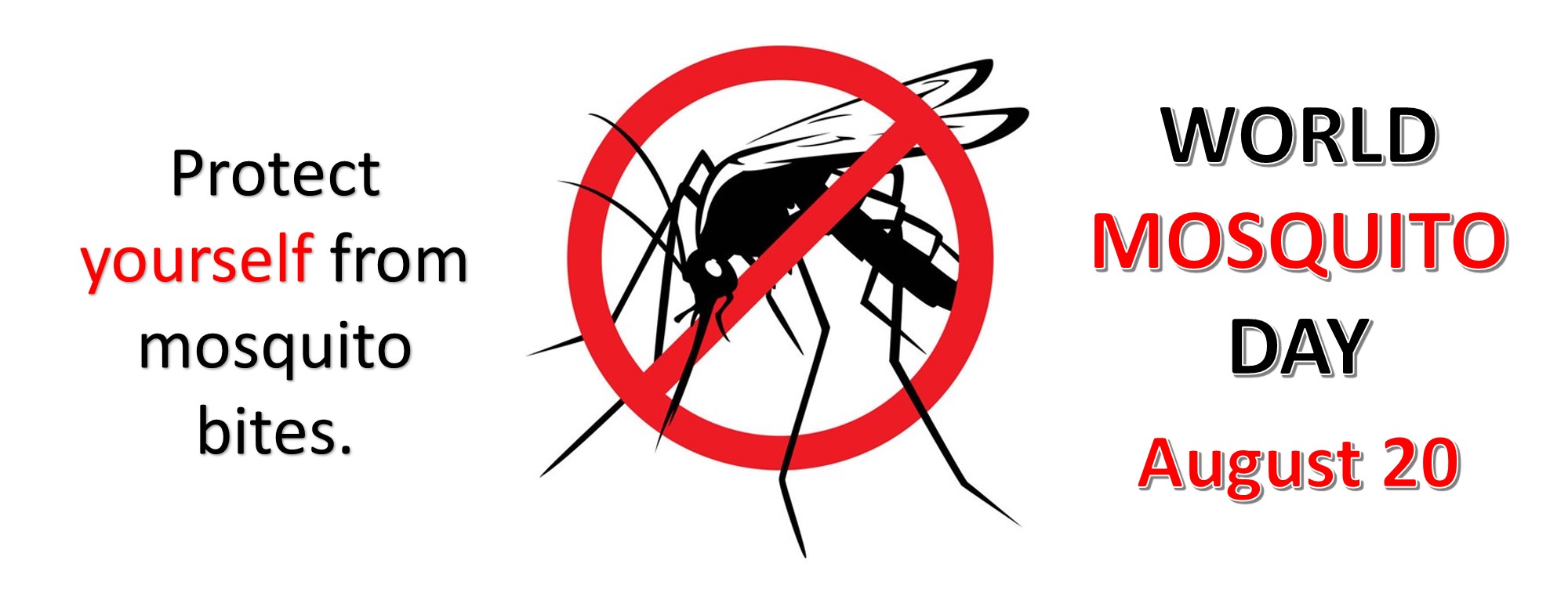 You are currently viewing August 20 is World Mosquito Day