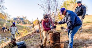 Read more about the article EH Faculty and Students Participate in Reforestation Project