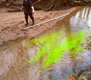 Read more about the article Measuring Stream Flow using Dye
