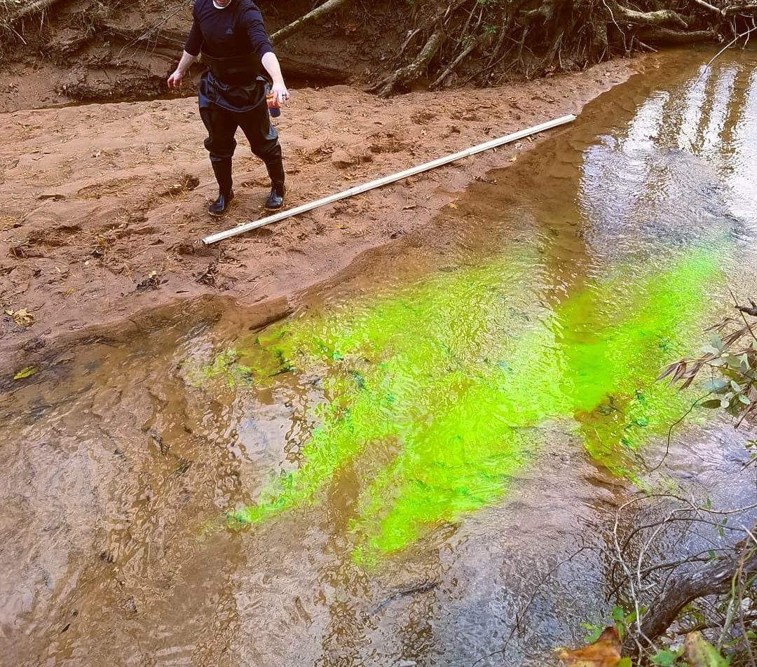 You are currently viewing Measuring Stream Flow using Dye