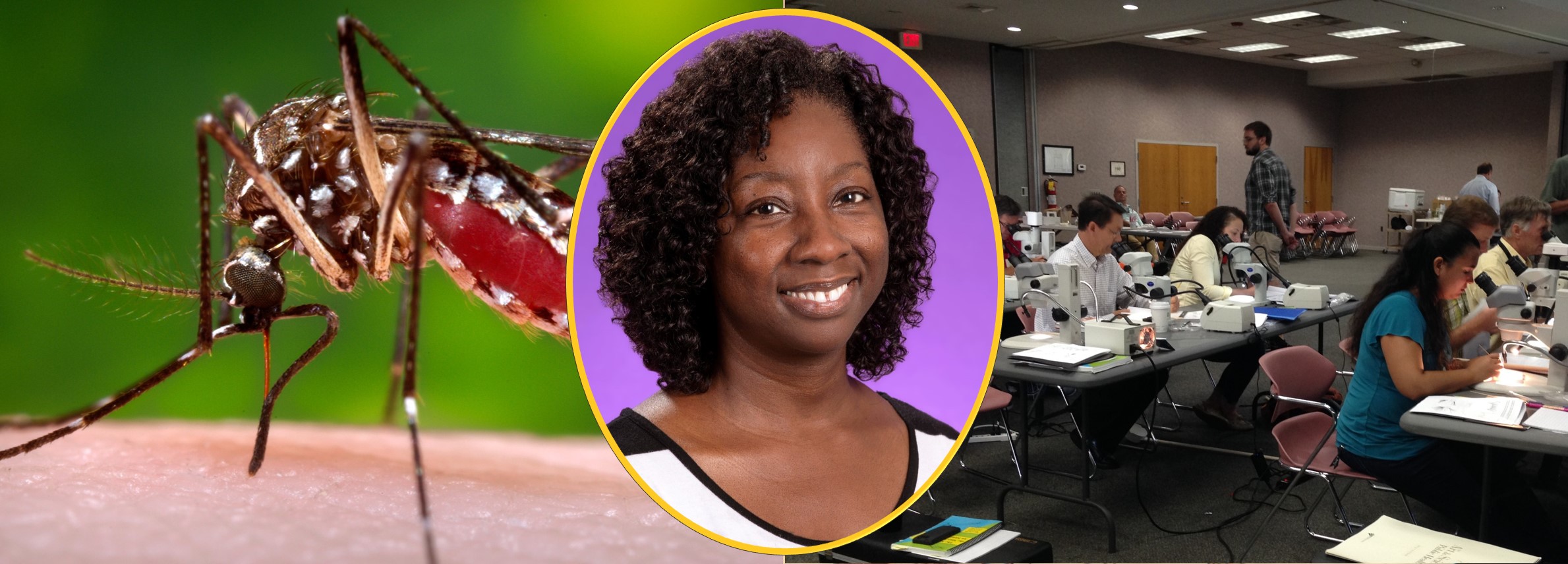 You are currently viewing Ms. White Serves as NACCHO Vector Control Workshop Trainer