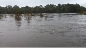 Read more about the article Geochemistry of Flood Waters from the Tar River, North Carolina Associated with Hurricane Matthew