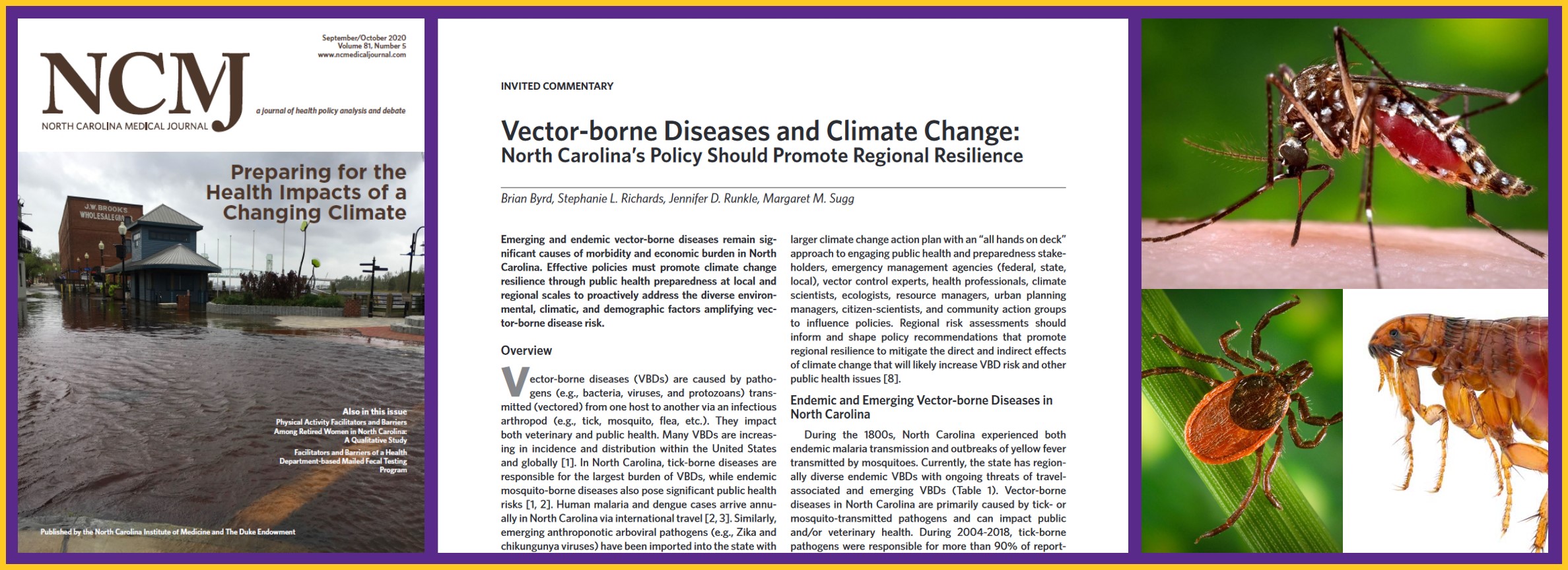 You are currently viewing Vector-borne Diseases and Climate Change
