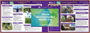 Read more about the article Practicum Posters for World Environmental Health Day 2020