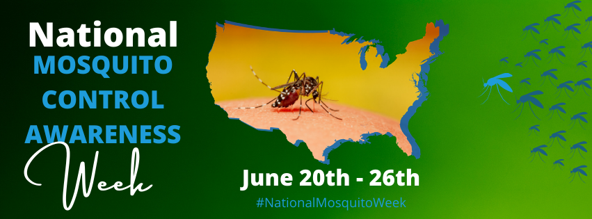 You are currently viewing What’s the Buzz Around ECU for National Mosquito Control Awareness Week?