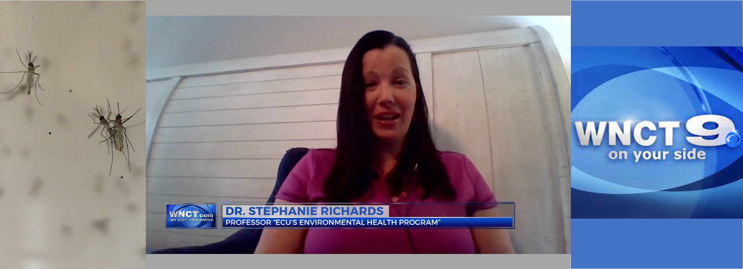 Read more about the article Dr. Richards Featured on WNCT Local News on Mosquito Research