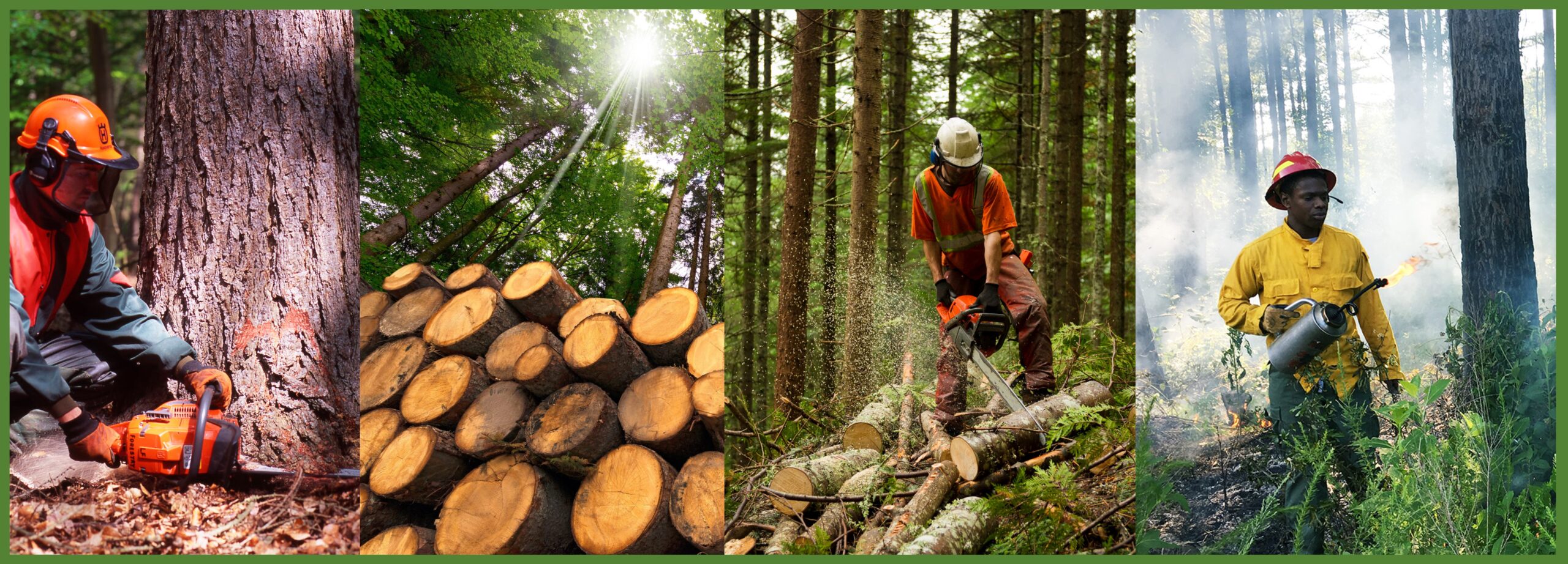 You are currently viewing Systematic Review of Biological, Chemical, Ergonomic, Physical, and Psychosocial Hazards Impacting Occupational Health of United States Forestry Workers