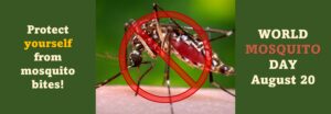 Read more about the article August 20 is World Mosquito Day