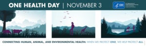 Read more about the article November 3 is One Health Day