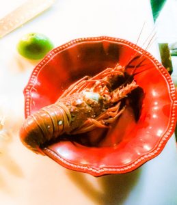tyler-lobster-3