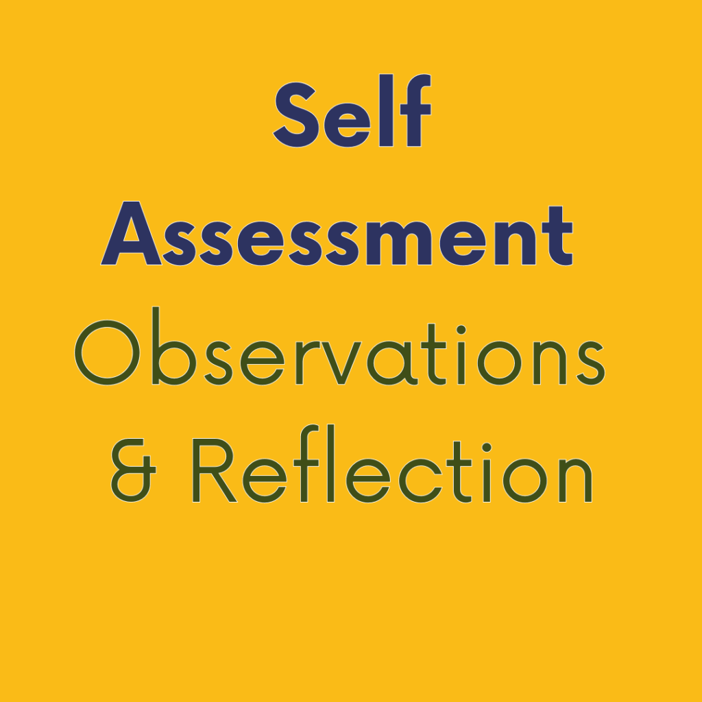 Self assessment: Observations and reflection