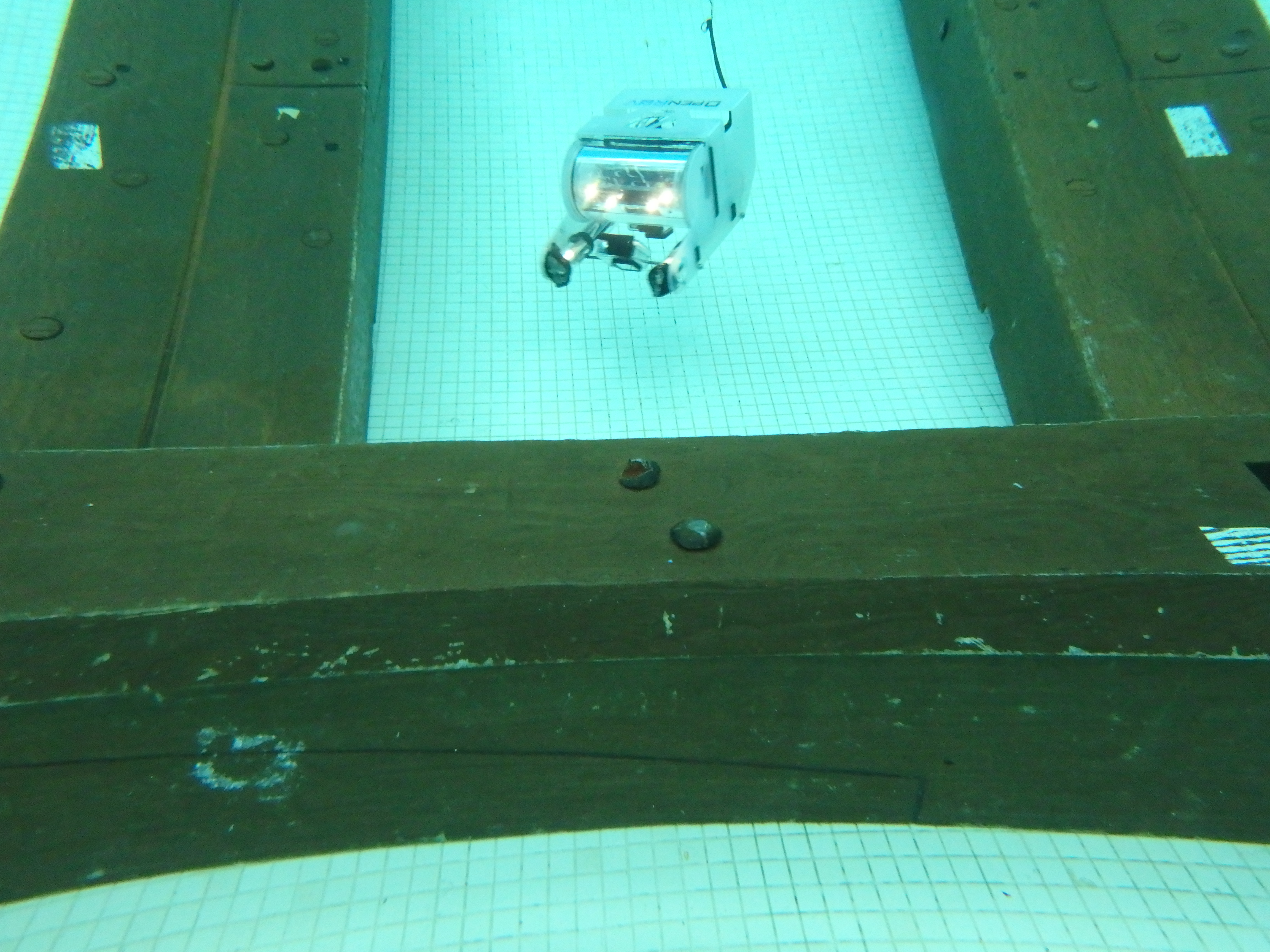 ROV in pool