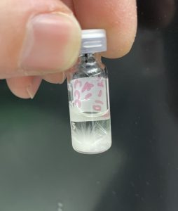 Needle-shaped crystals of warfarin.