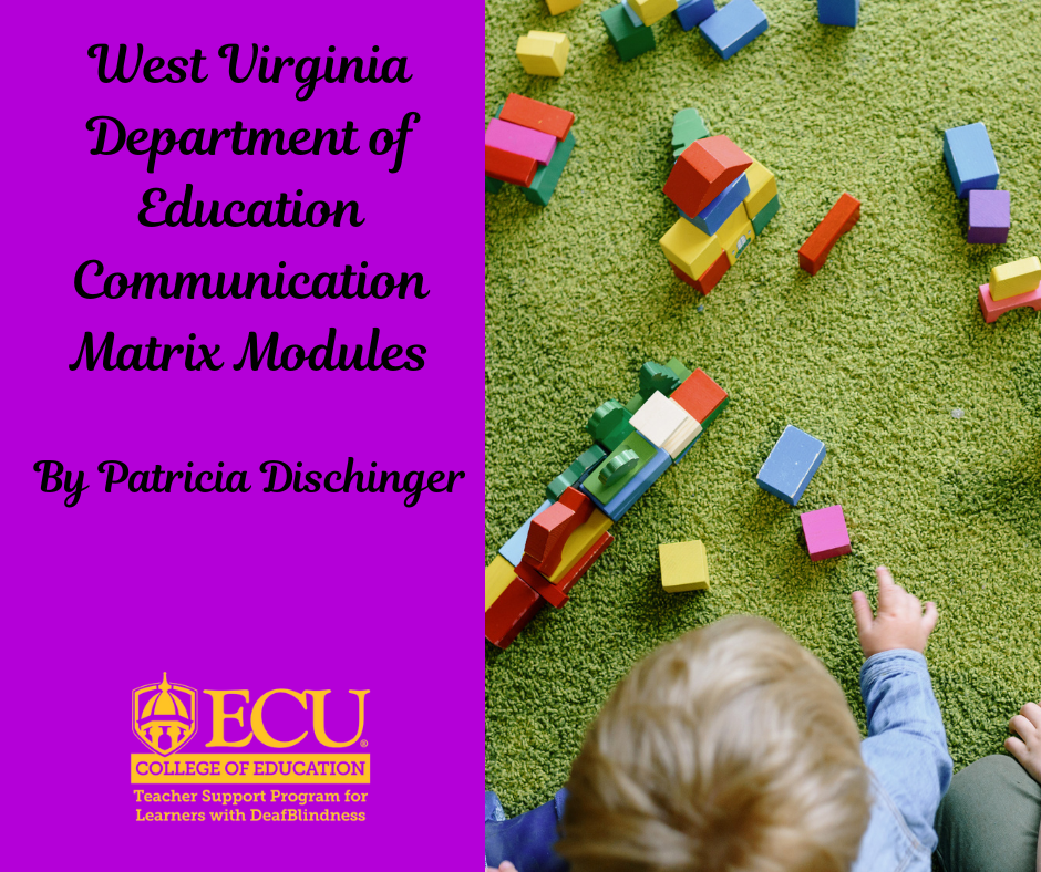 Purple background on the left side with text "West Virginia Department of Education Communication Matrix Modules By Patricia Dischinger ECU COLLEGE OF EDUCATION Teacher Support Program for Learners with DeafBlindness" Right side - little boy with blue long sleeve shirt on playing with blocks of different colors